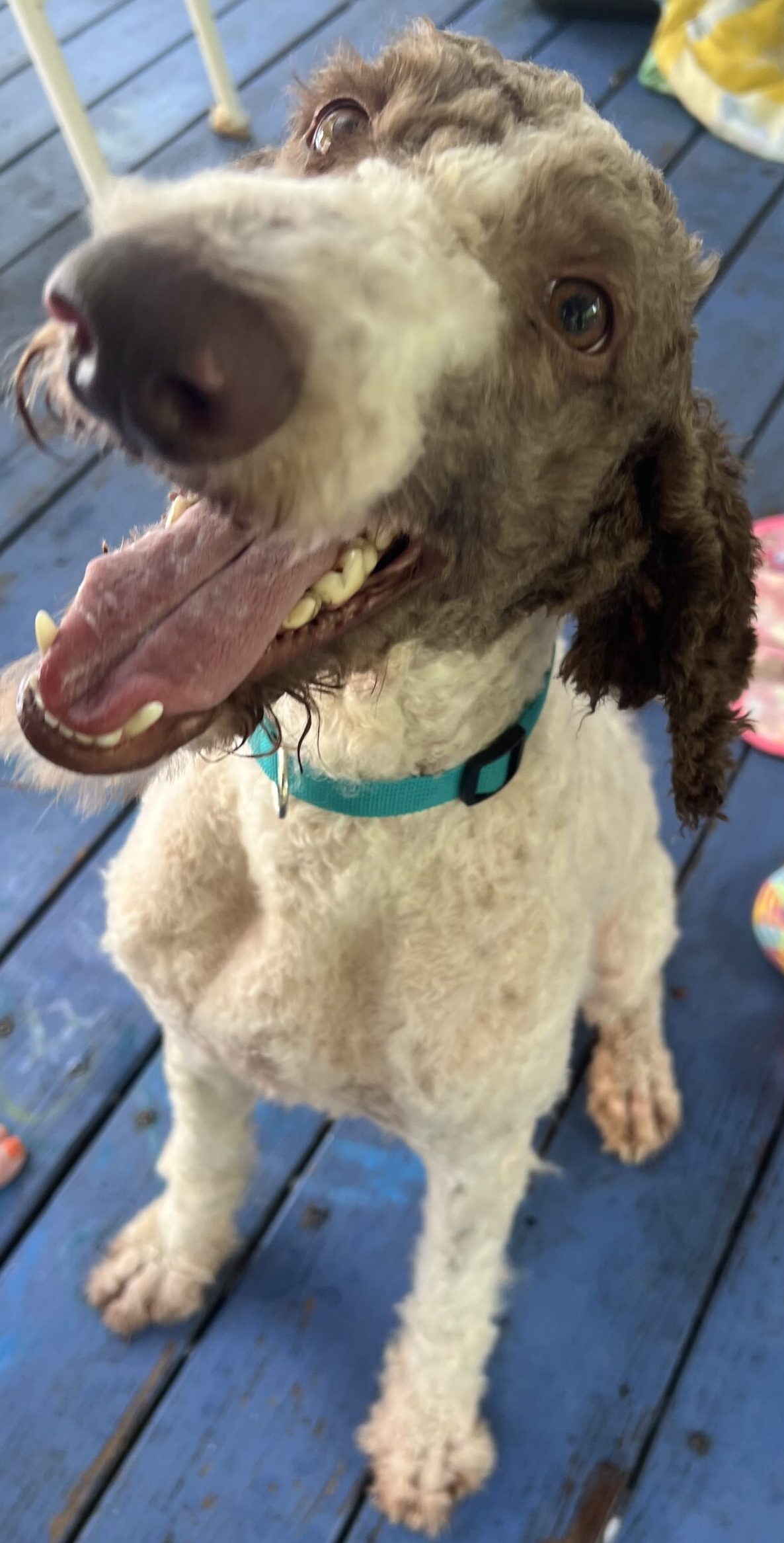 IMG_2472-scaled-e1755694003542